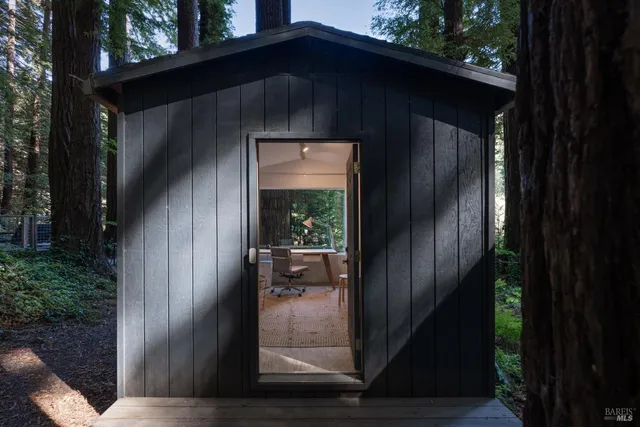 a view of a yard with a tree