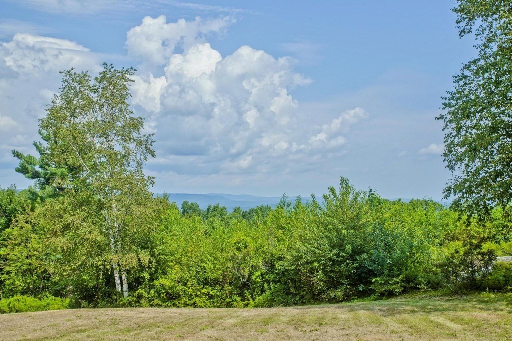 155 Edwards Road Westhampton, MA 01027 - Photo 5 of 39 a backyard of a house with lots of green space