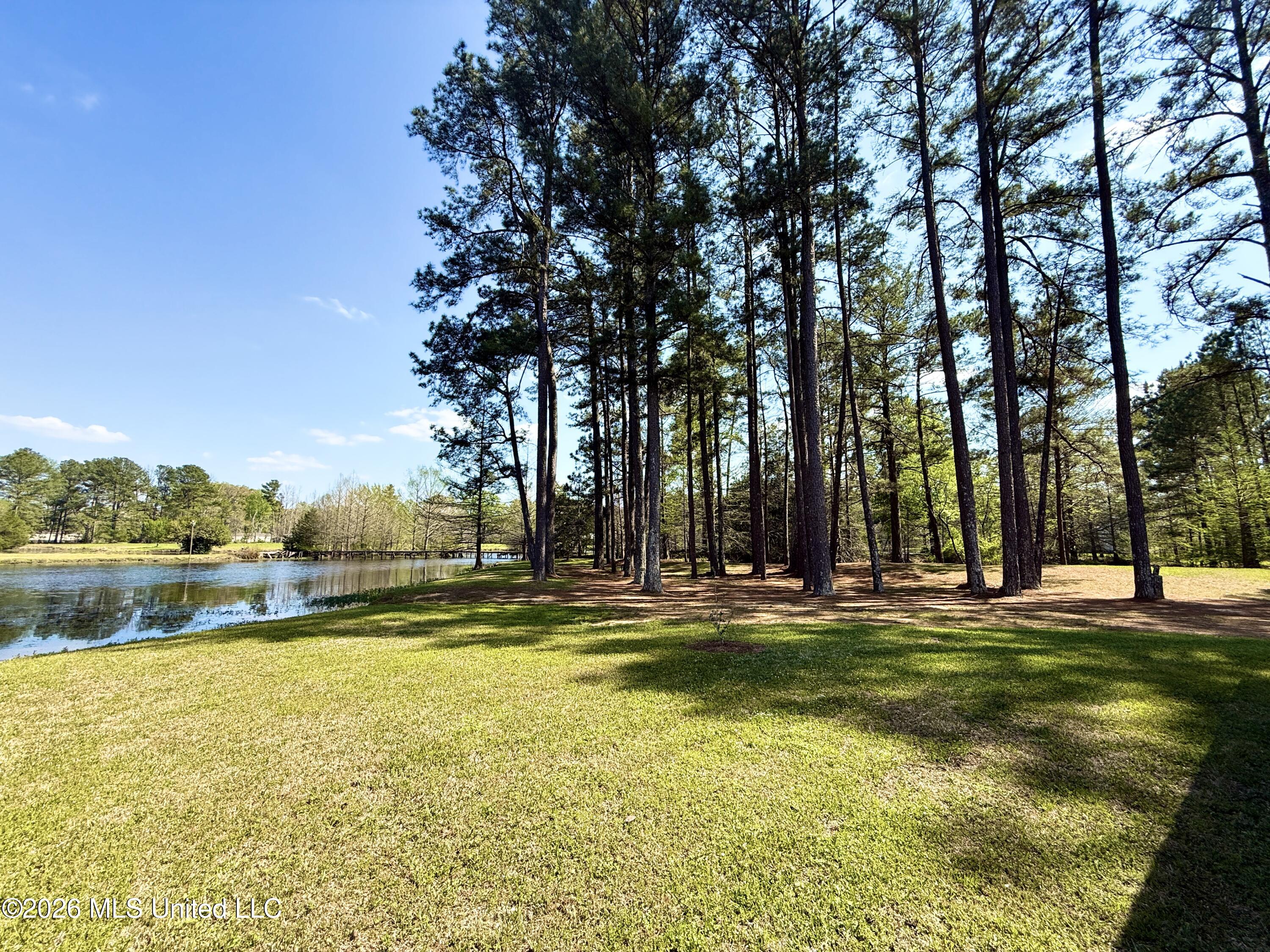 185 West Neal Road Florence, MS 39073 - Photo 102 of 104 IMG_0590