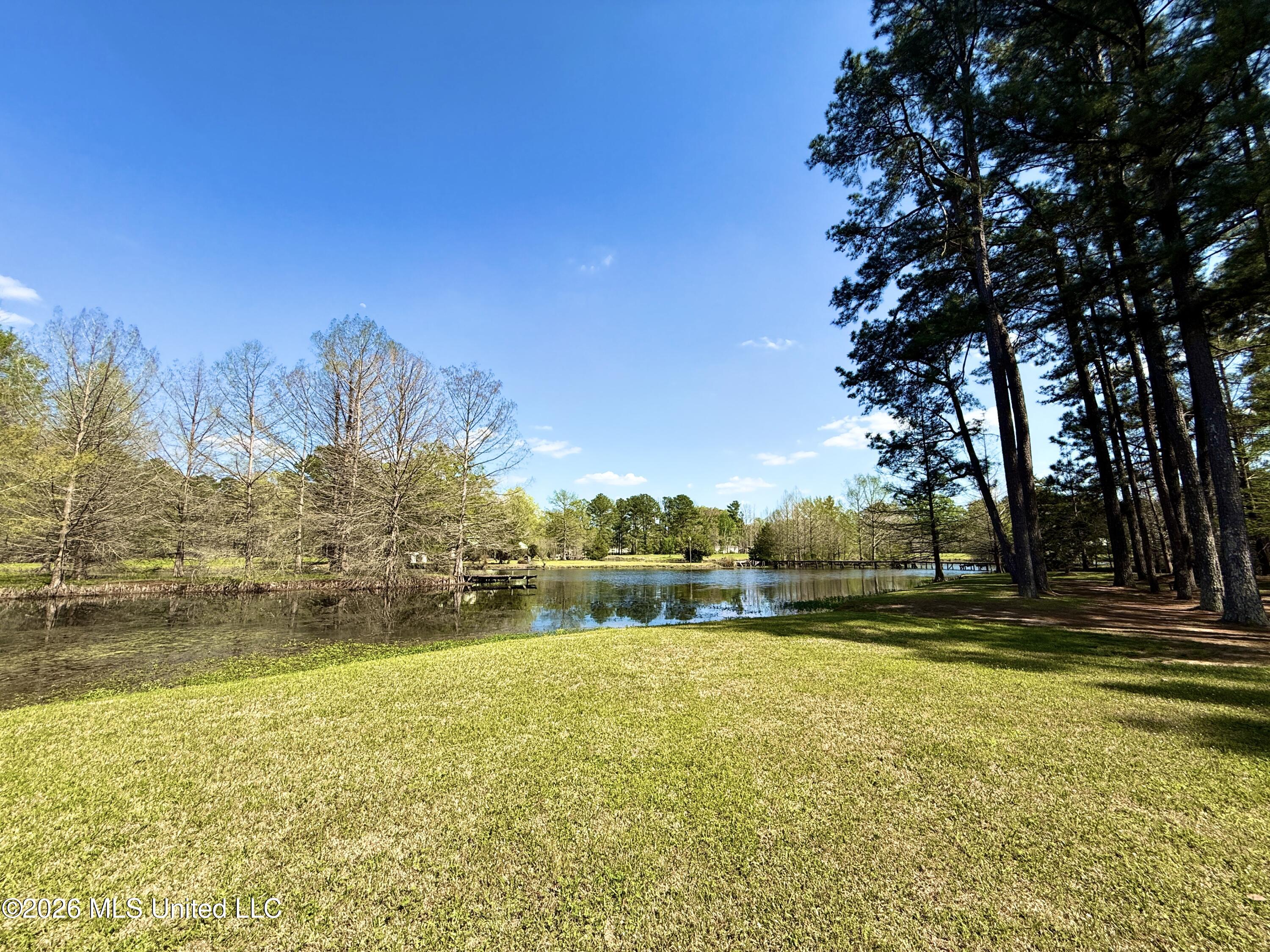 185 West Neal Road Florence, MS 39073 - Photo 103 of 104 IMG_0589