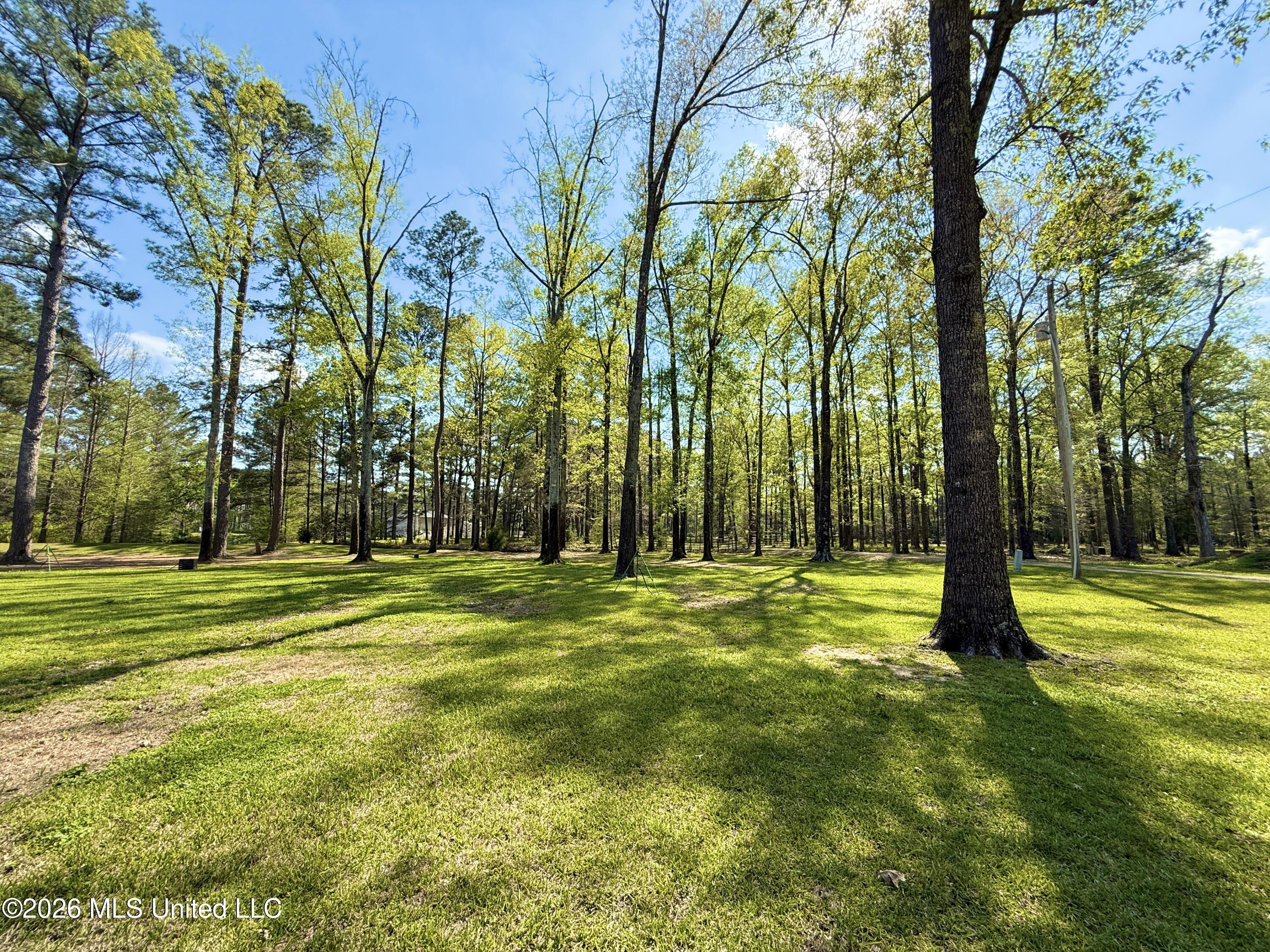 185 West Neal Road Florence, MS 39073 - Photo 100 of 104 IMG_0599