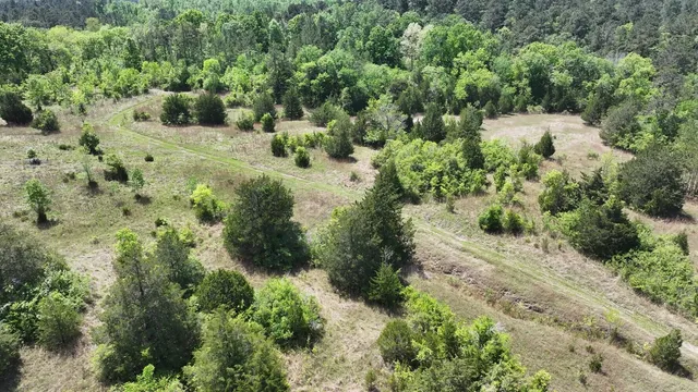 an aerial view of residential house with outdoor space