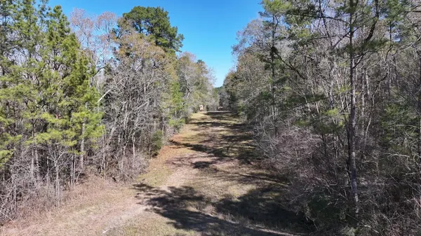 a view of road and yard