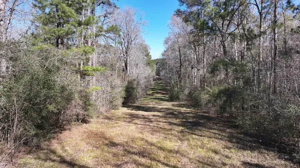 a view of outdoor space and trees