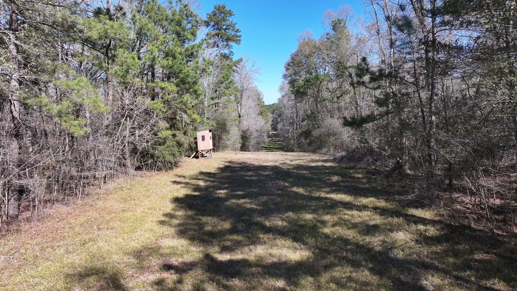 P#4-tbd P Point Blank, TX 77364 - Photo 13 of 30