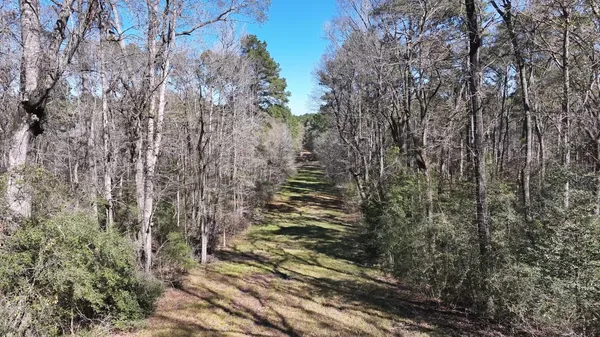 a view of swimming pool from a garden