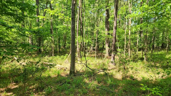 a view of a lake with a yard