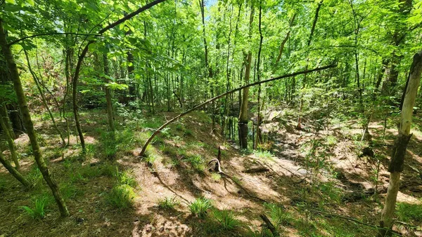 a view of lake with lots of green space