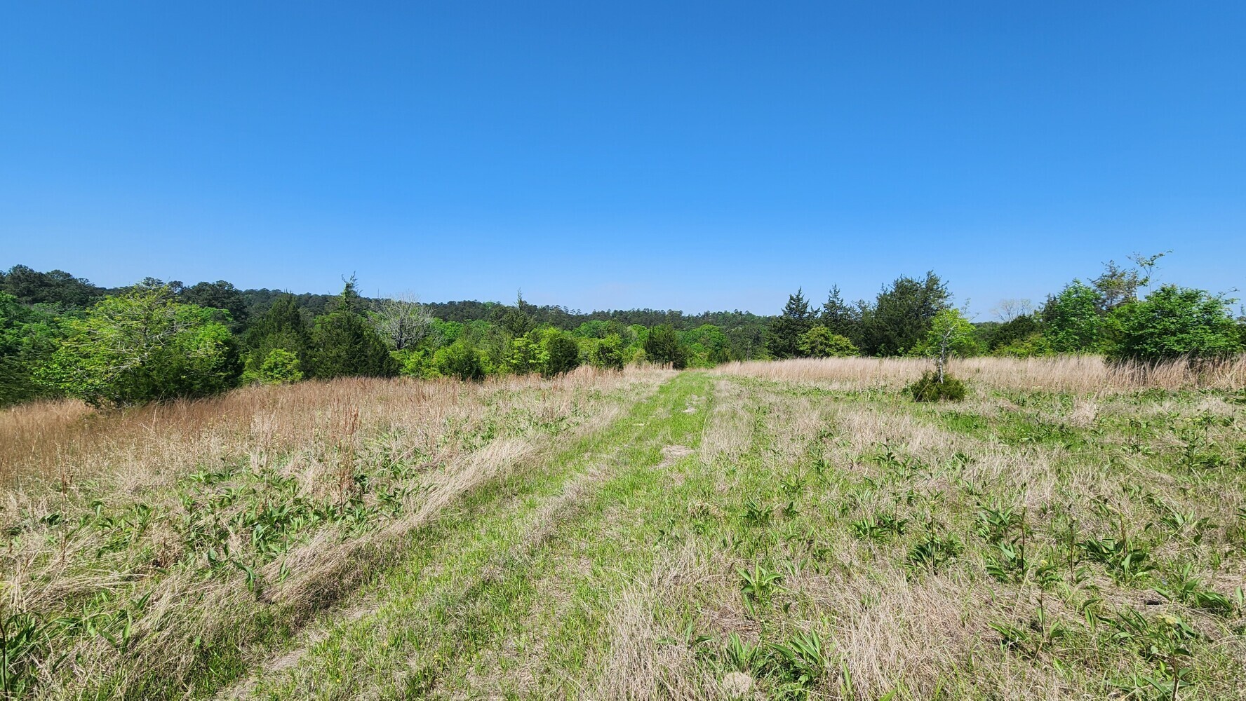 P#4-tbd P Point Blank, TX 77364 - Photo 18 of 30