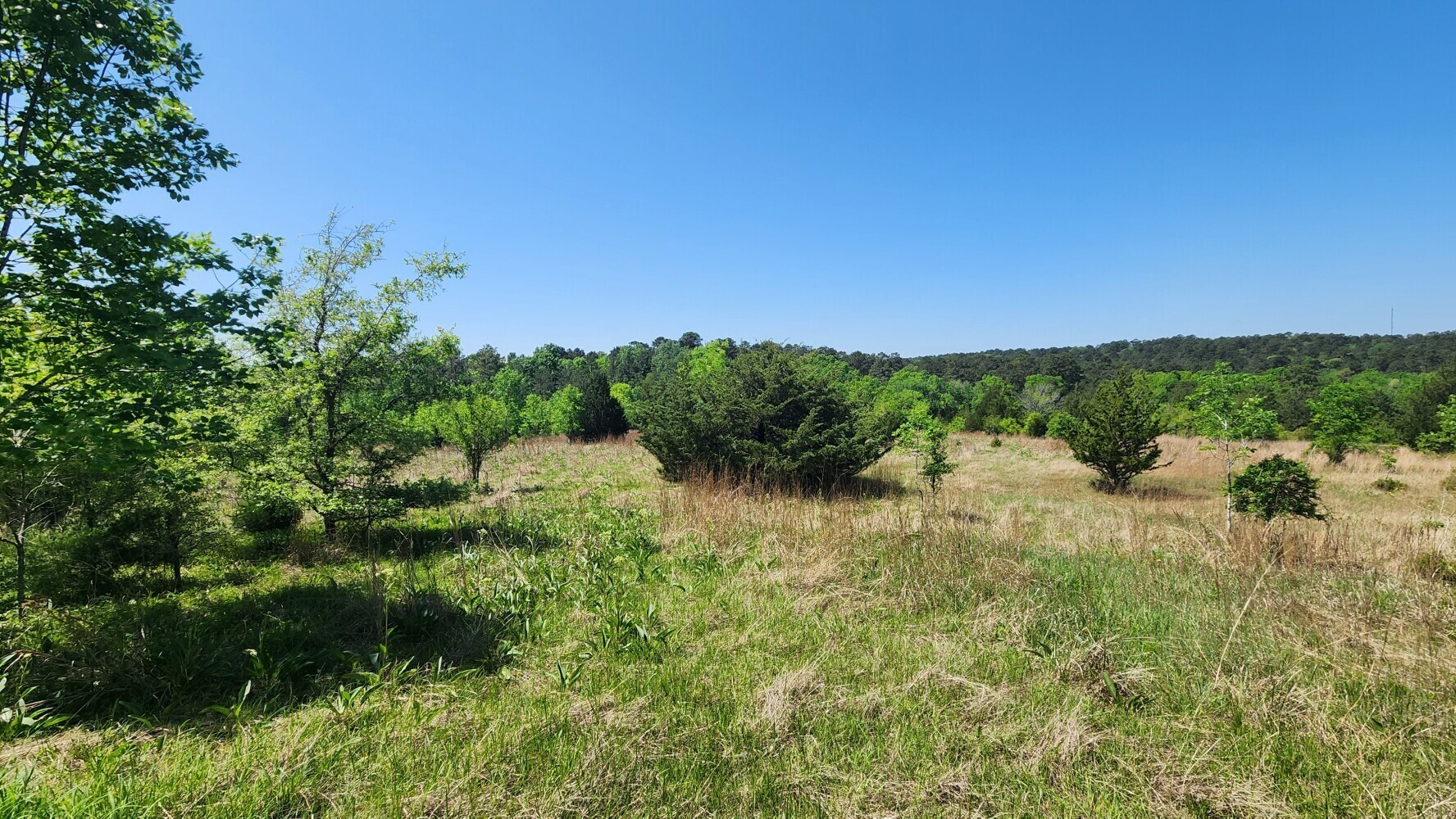 P#4-tbd P Point Blank, TX 77364 - Photo 20 of 30