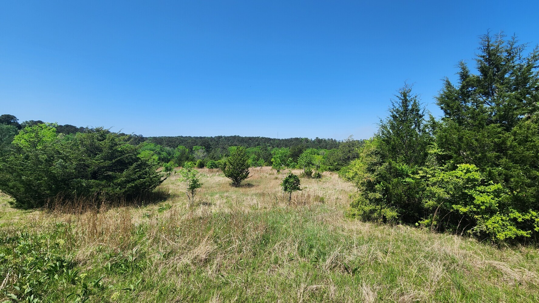 P#4-tbd P Point Blank, TX 77364 - Photo 21 of 30