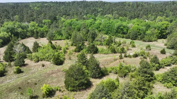 a view of a field with a mountain in the background