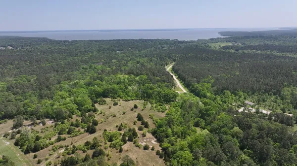 a view of a city with lush green forest