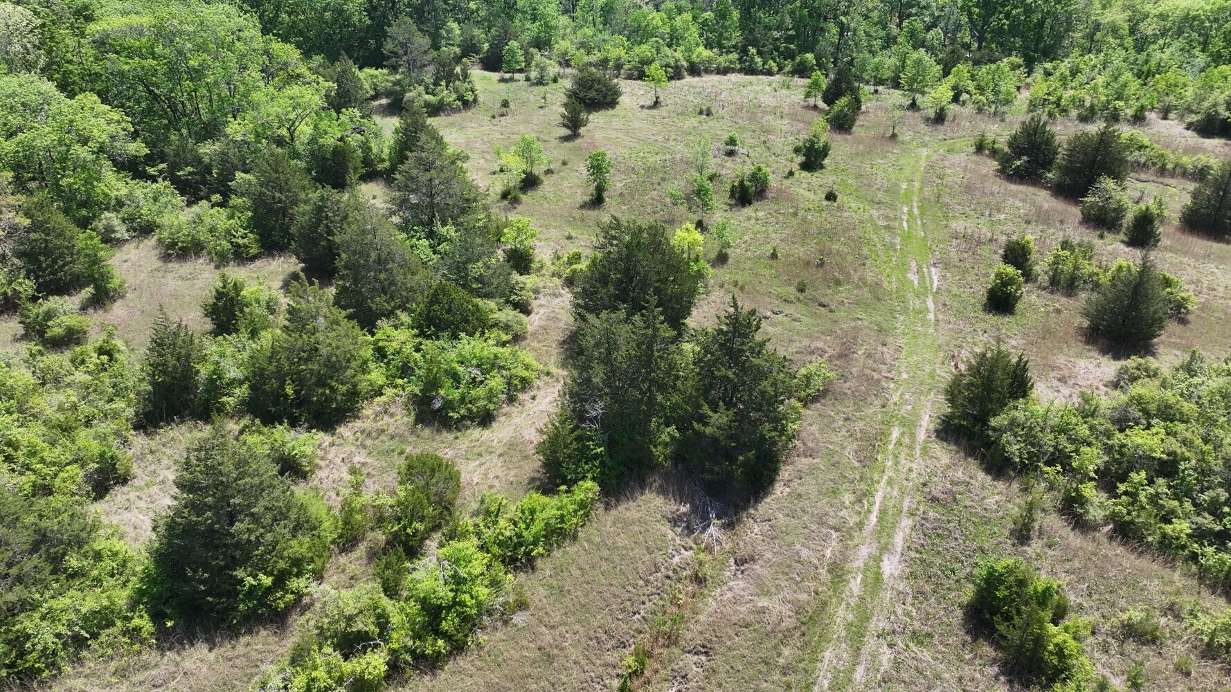P#4-tbd P Point Blank, TX 77364 - Photo 25 of 30