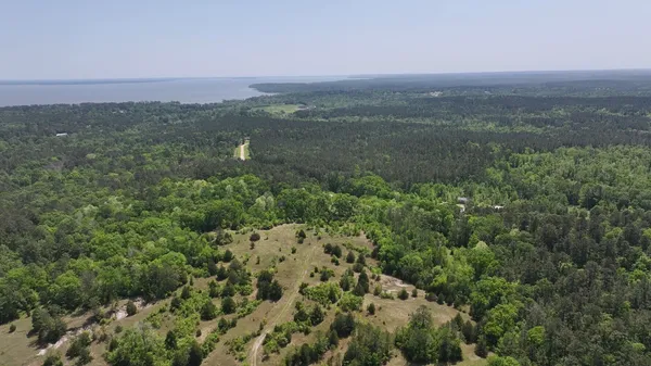 an aerial view of residential houses with outdoor space and trees