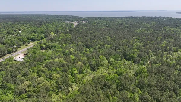 a view of a field with an ocean