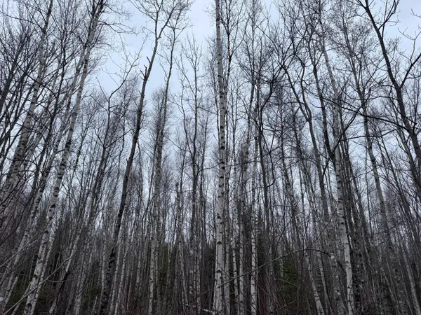 $50,000 | 36 Otter Trail, Greenbush, ME 04418