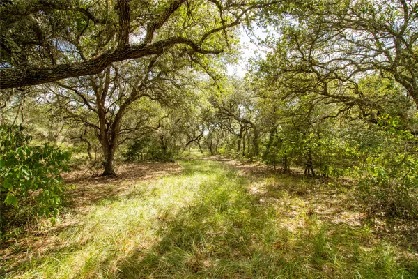 $1,699,200 | 0 County Road 15, Hallettsville, TX 77964