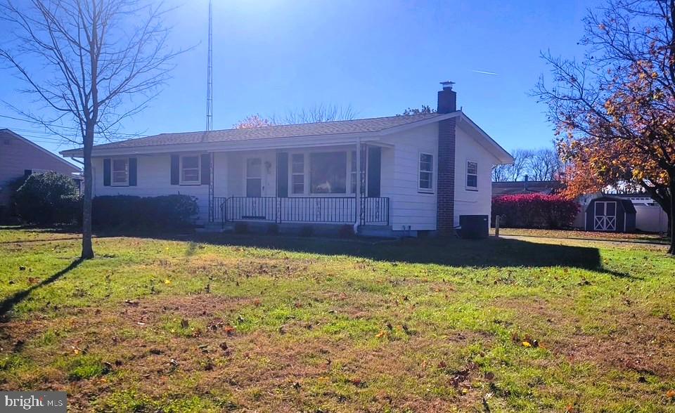 24 Nestler Road Bridgeton, NJ 08302 - Photo 3 of 41 a view of a backyard with a large tree