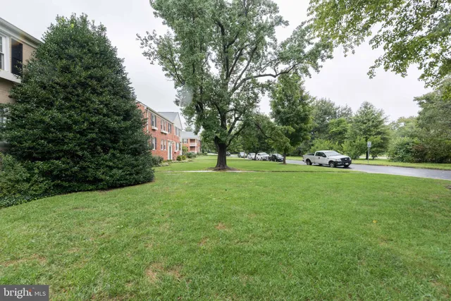 a green field with lots of trees