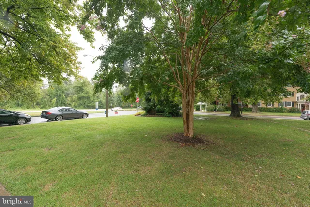 a view of green field