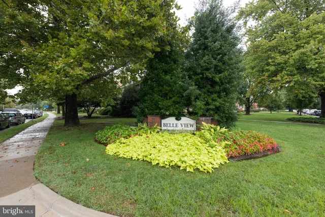 a garden with lots of trees