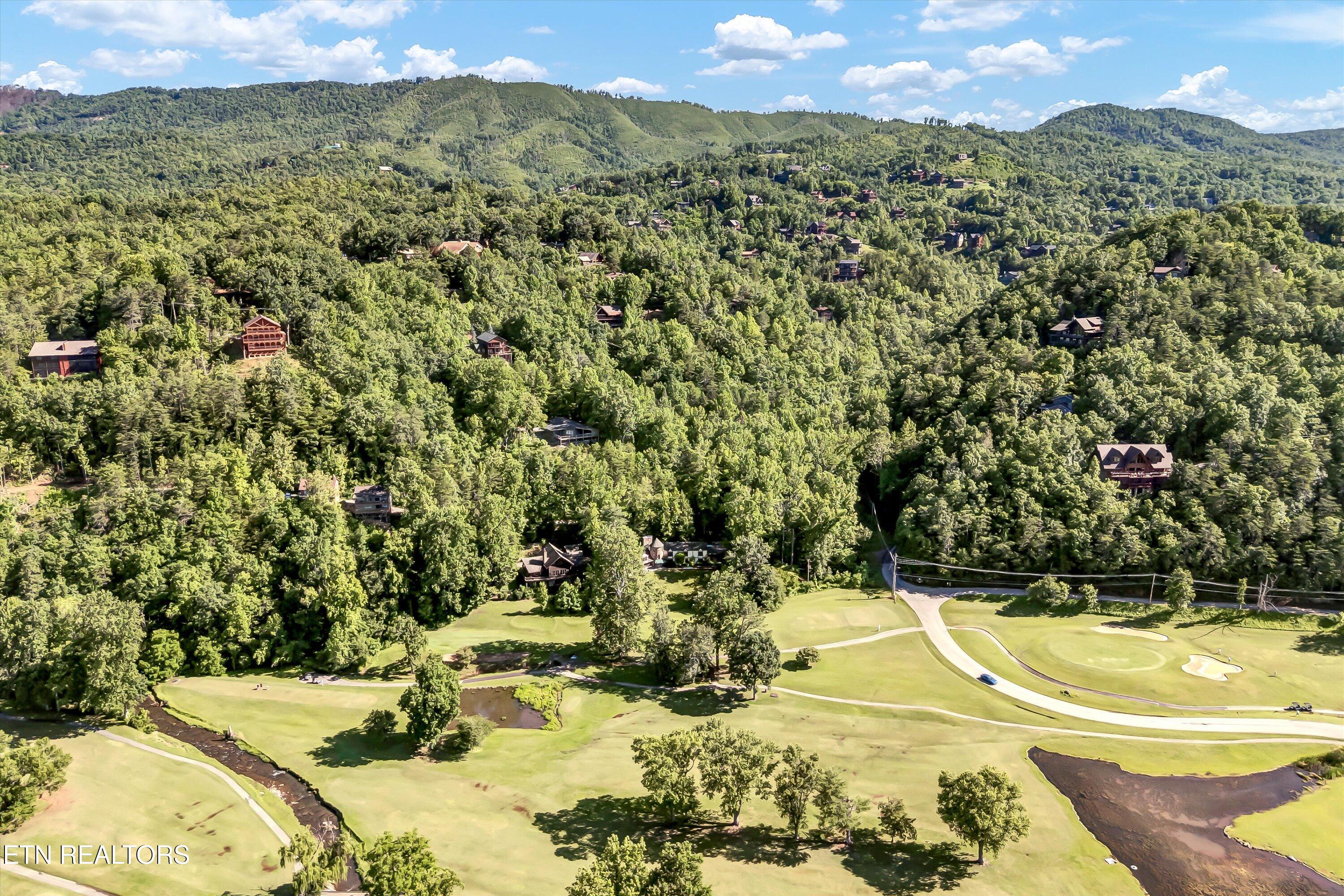 3950 Castle Road Gatlinburg, TN 37738 - Photo 55 of 56 59-3950 Castle Rd-59