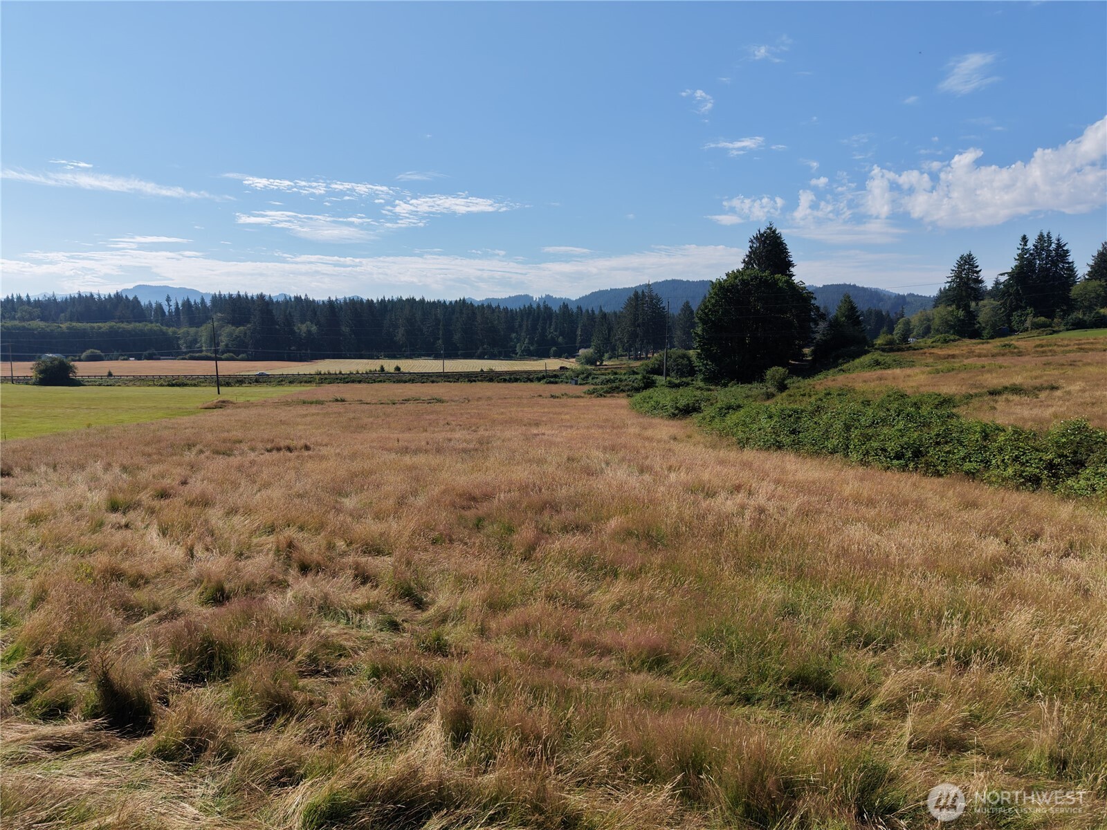 134 Dancing Elk Road Beaver, WA 98305 - Photo 10 of 14 Gallery Image 10