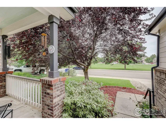 a view of a park with large trees