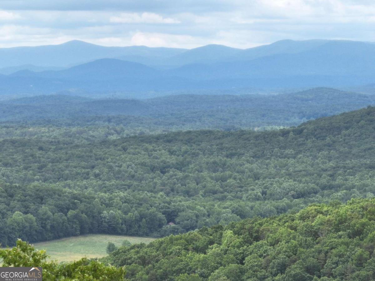 265 Andes Ridge Talking Rock, GA 30175 - Photo 1 of 1 a view of an outdoor space and mountains