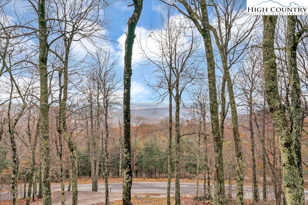 3043 Junaluska Road Boone, NC 28607 - Photo 44 of 49 a view of a forest with trees