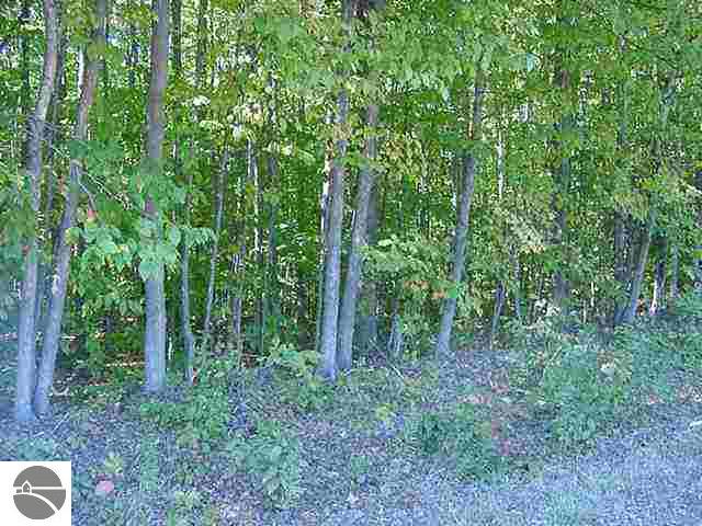 2 Barrett Road Kingsley, MI 49649 - Photo 1 of 2 1683336.JPG