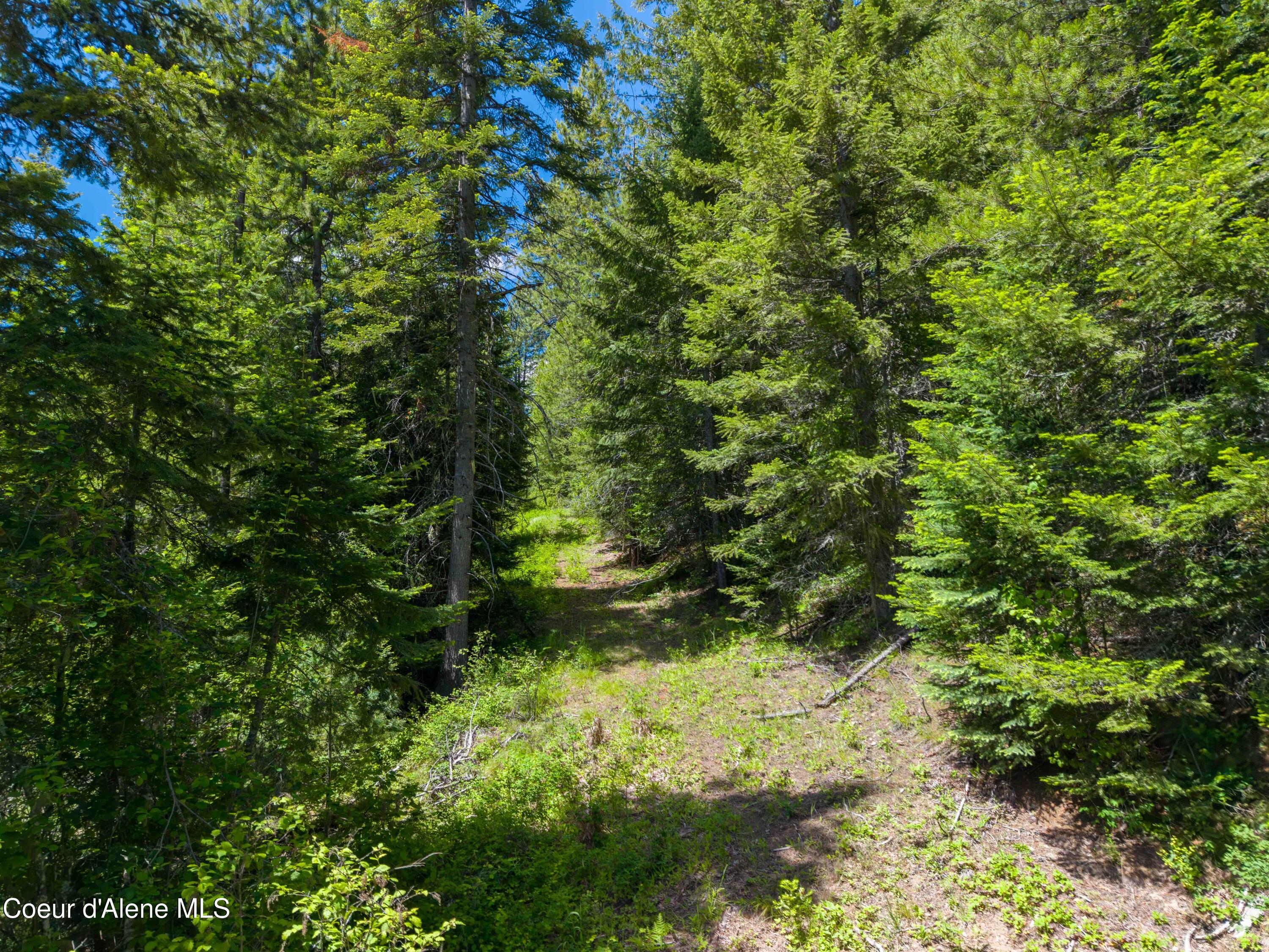 1314 Finn Creek Road Fernwood, ID 83830 - Photo 23 of 23 June 11 2026 (4 of 20)