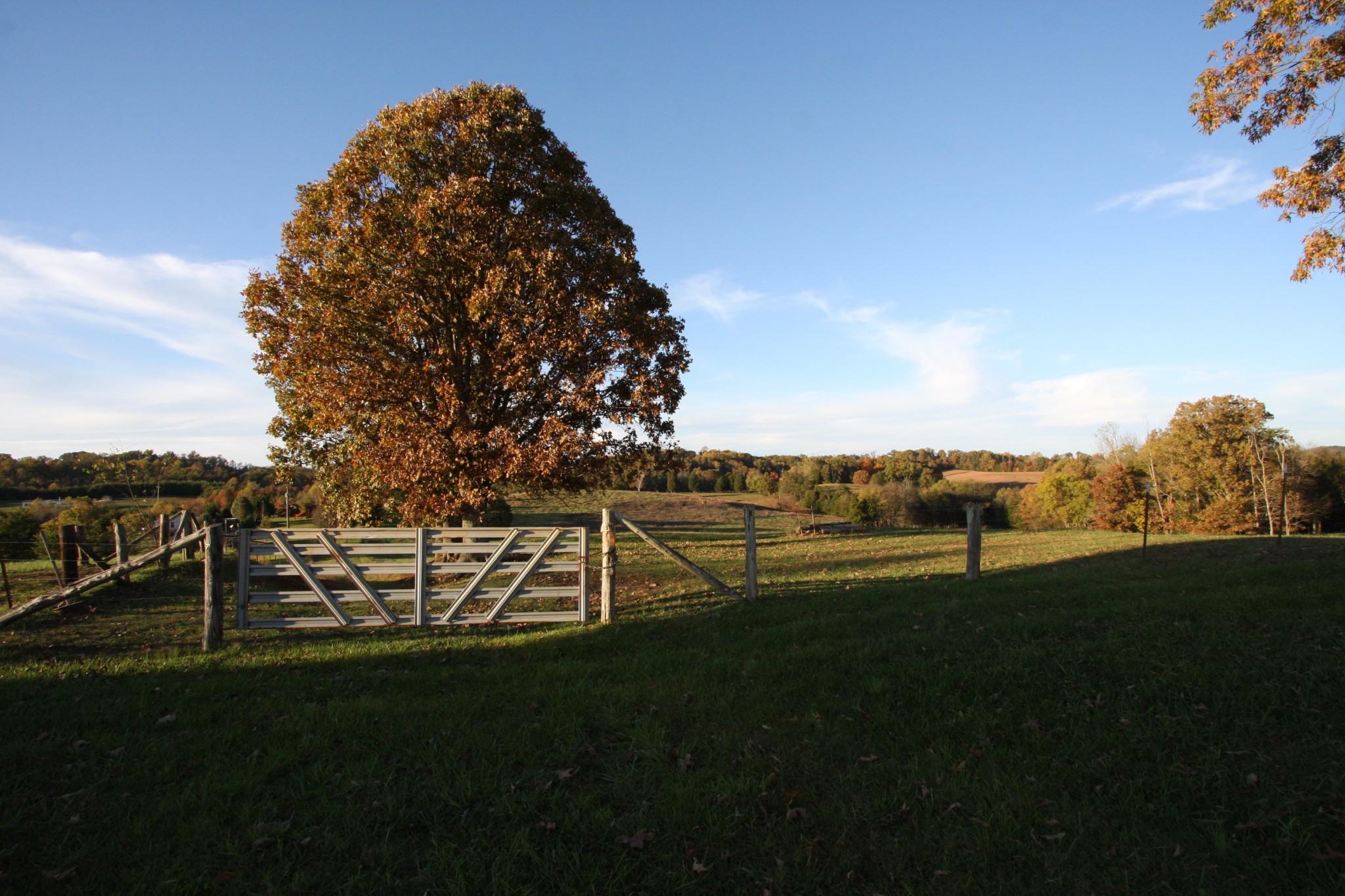 1270 Fork Road Greenback, TN 37742 - Photo 1 of 26 Gallery Image 1