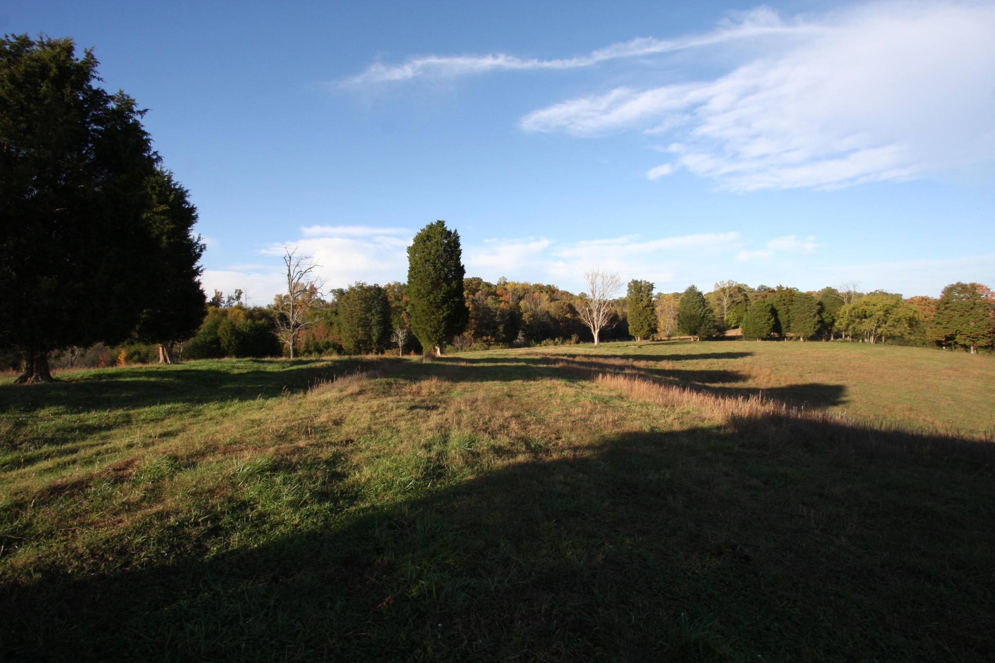 1270 Fork Road Greenback, TN 37742 - Photo 12 of 26 Gallery Image 12