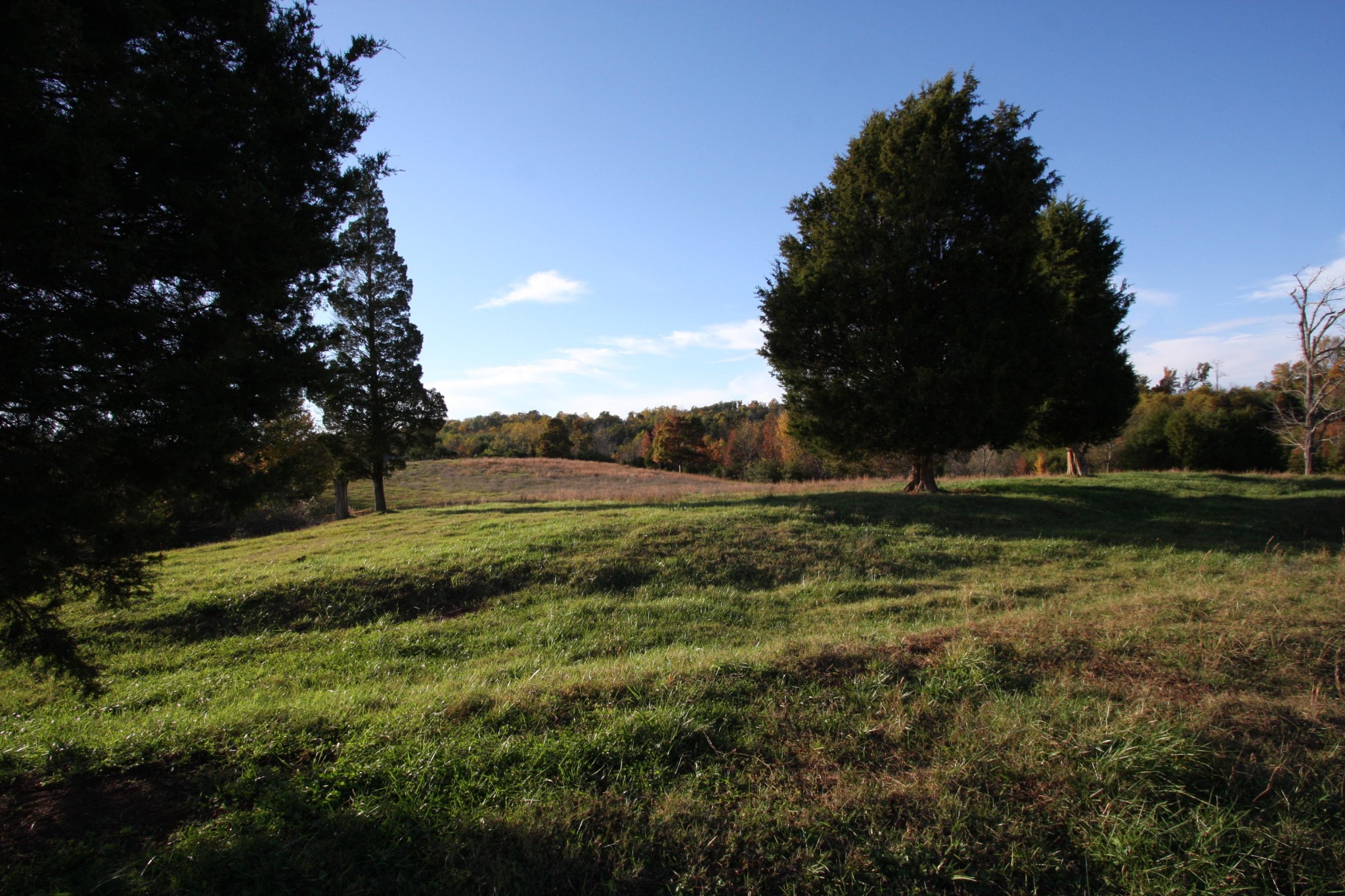1270 Fork Road Greenback, TN 37742 - Photo 13 of 26 Gallery Image 13