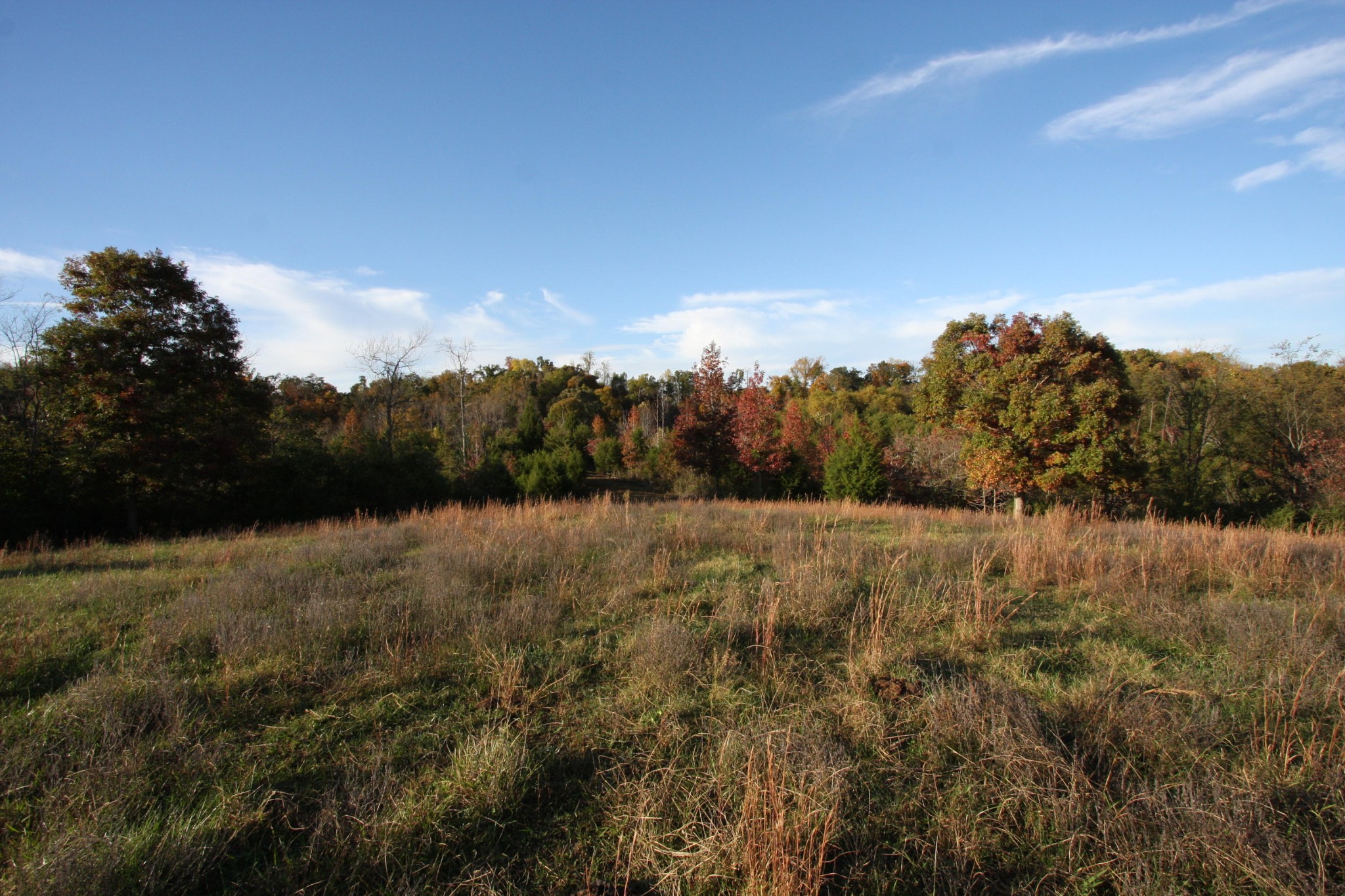 1270 Fork Road Greenback, TN 37742 - Photo 14 of 26 Gallery Image 14