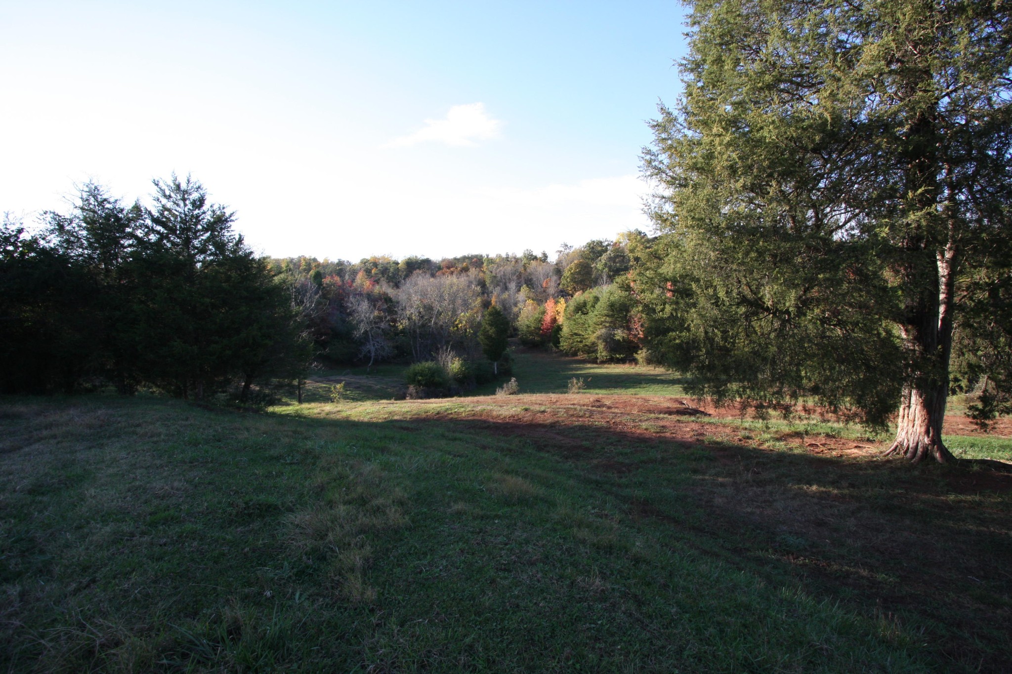 1270 Fork Road Greenback, TN 37742 - Photo 15 of 26 Gallery Image 15