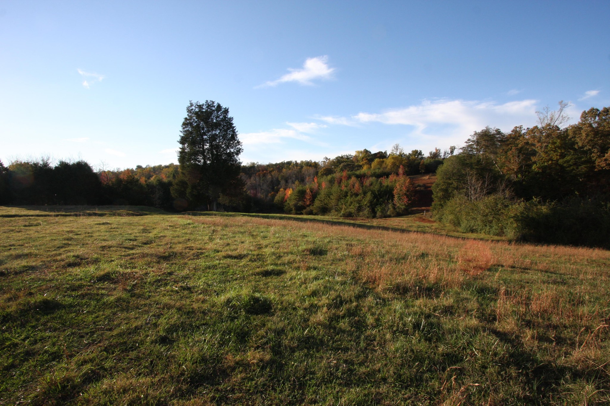 1270 Fork Road Greenback, TN 37742 - Photo 17 of 26 Gallery Image 17