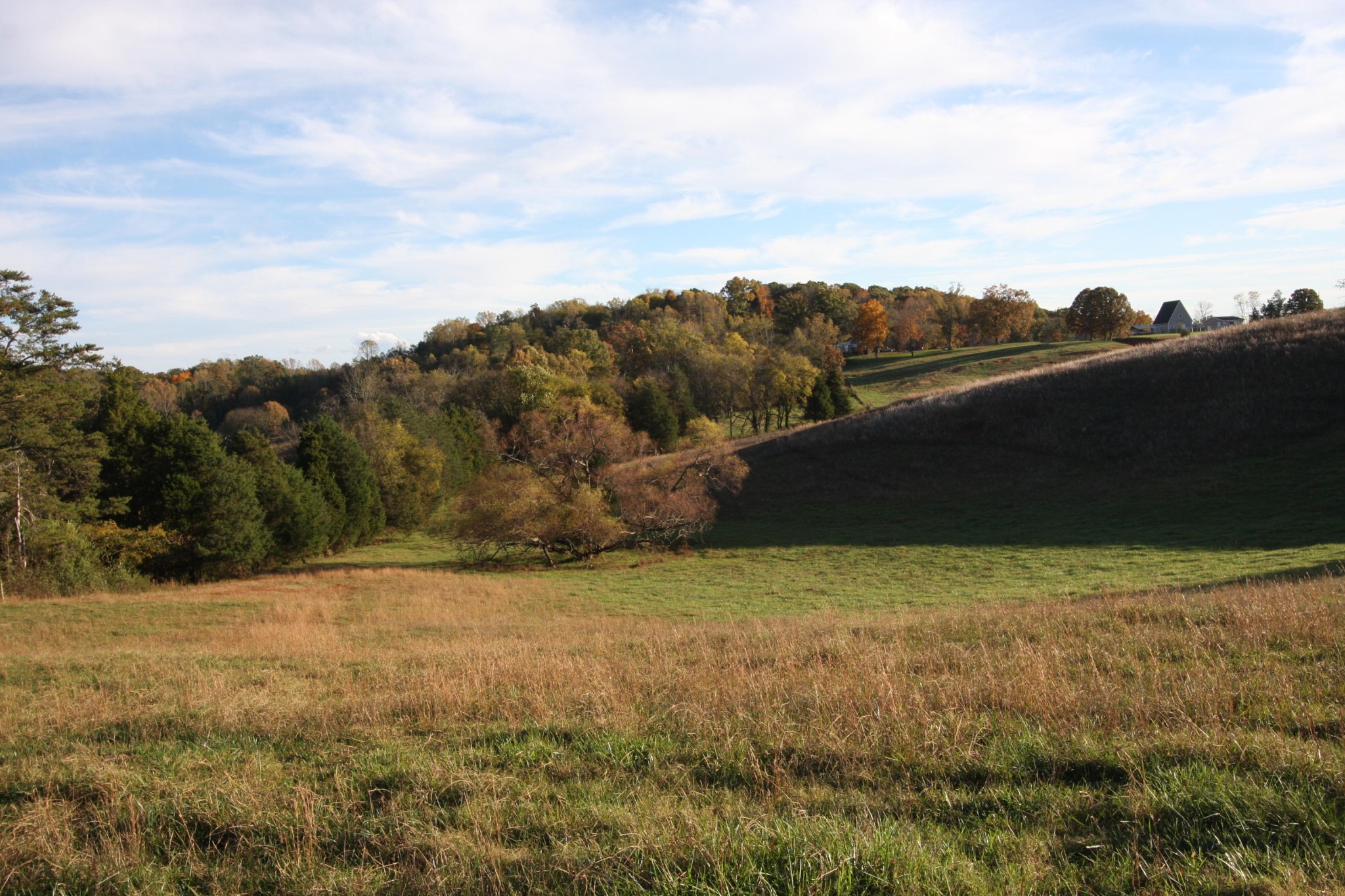 1270 Fork Road Greenback, TN 37742 - Photo 19 of 26 Gallery Image 19