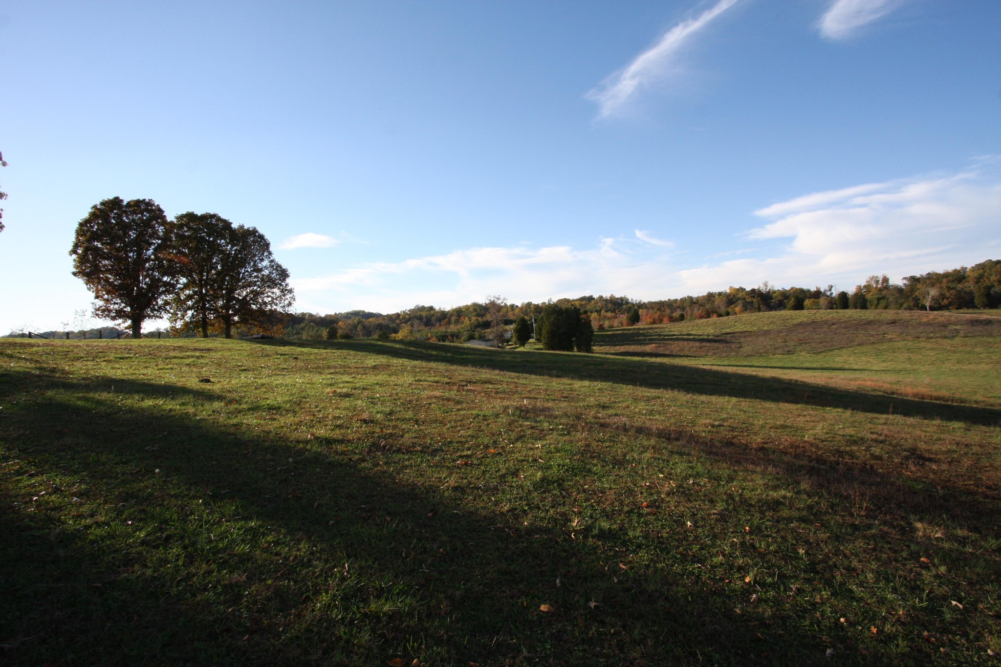 1270 Fork Road Greenback, TN 37742 - Photo 2 of 26 Gallery Image 2