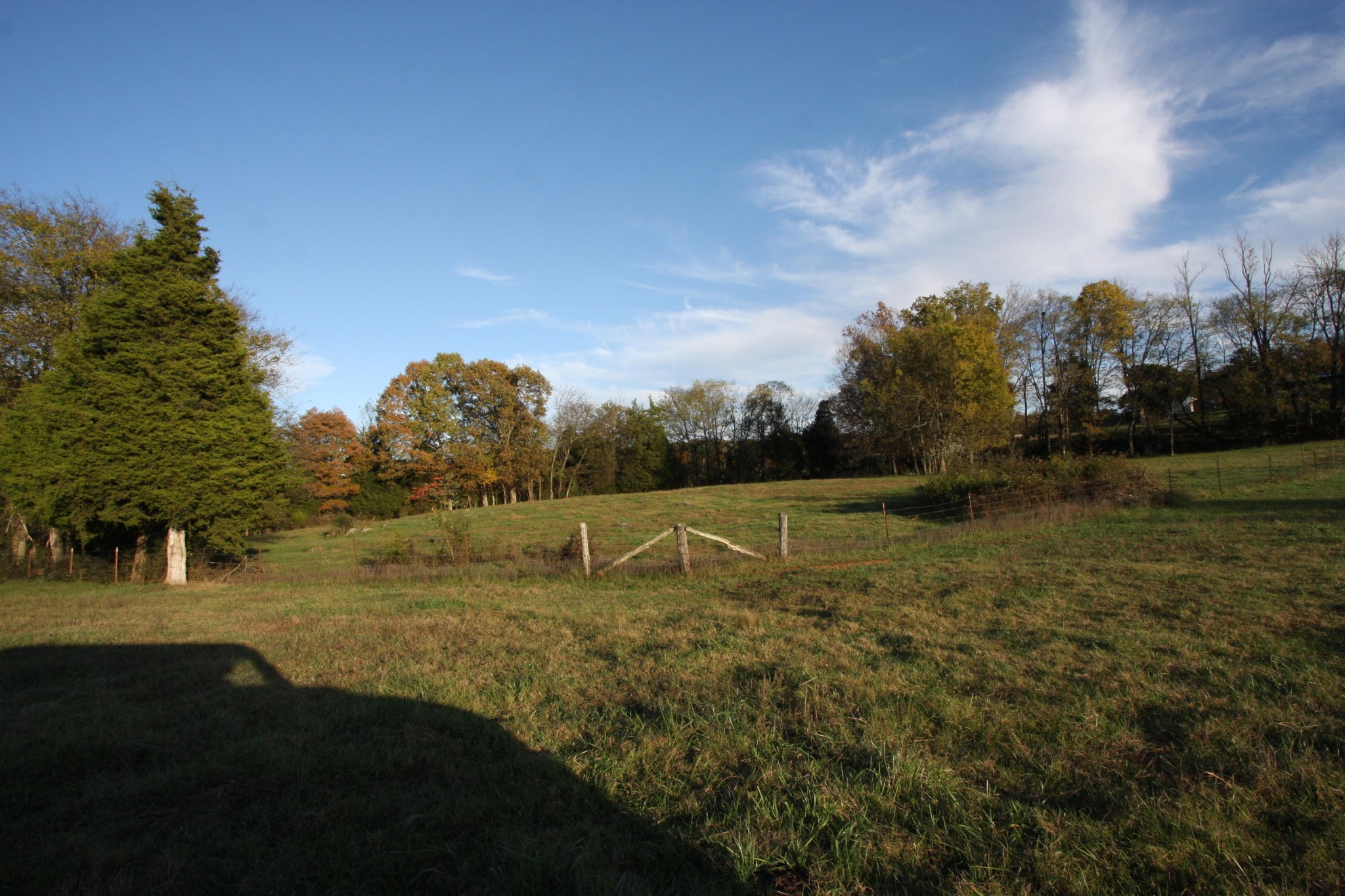 1270 Fork Road Greenback, TN 37742 - Photo 21 of 26 Gallery Image 21