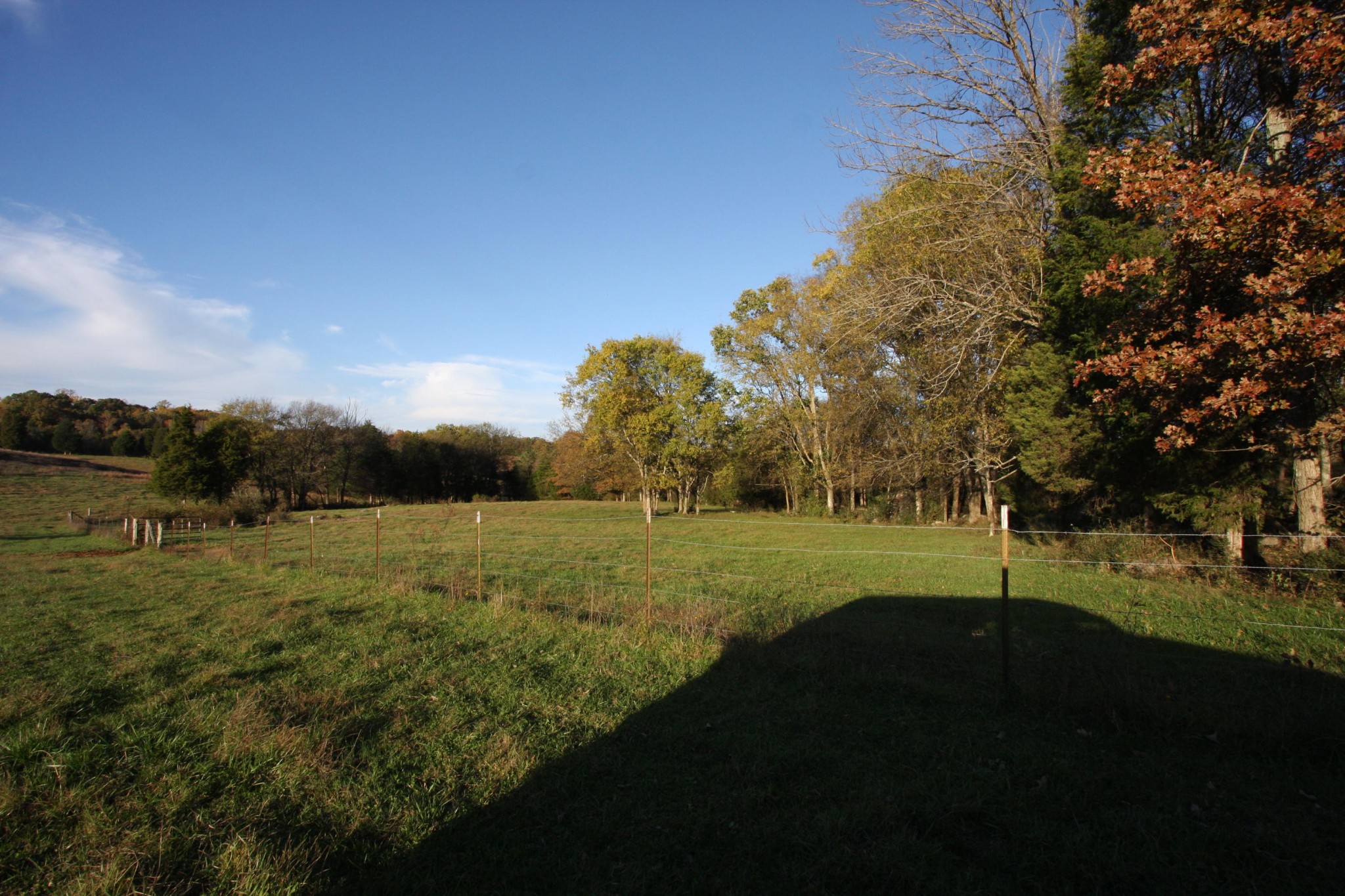 1270 Fork Road Greenback, TN 37742 - Photo 23 of 26 Gallery Image 23