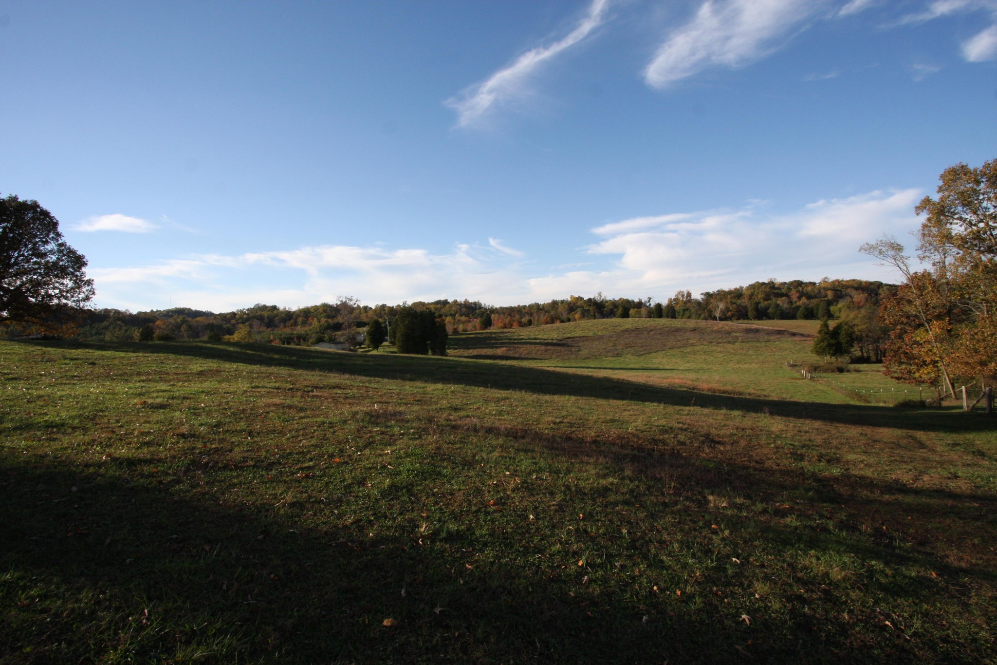 1270 Fork Road Greenback, TN 37742 - Photo 3 of 26 Gallery Image 3