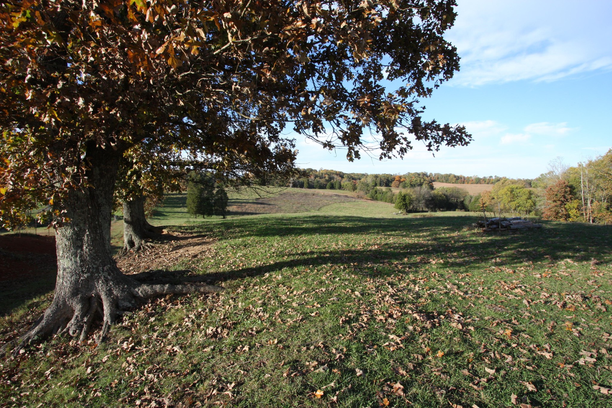 1270 Fork Road Greenback, TN 37742 - Photo 4 of 26 Gallery Image 4