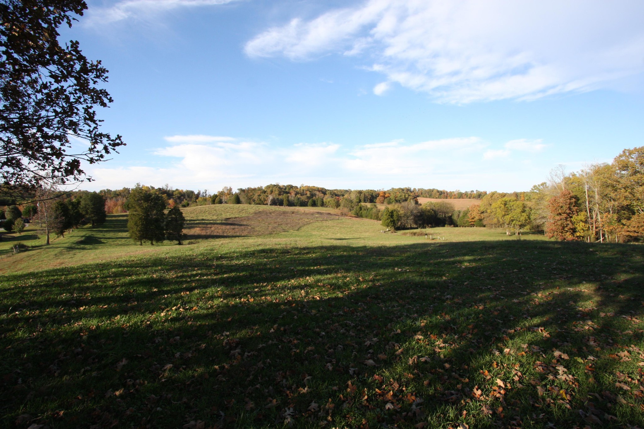 1270 Fork Road Greenback, TN 37742 - Photo 5 of 26 Gallery Image 5
