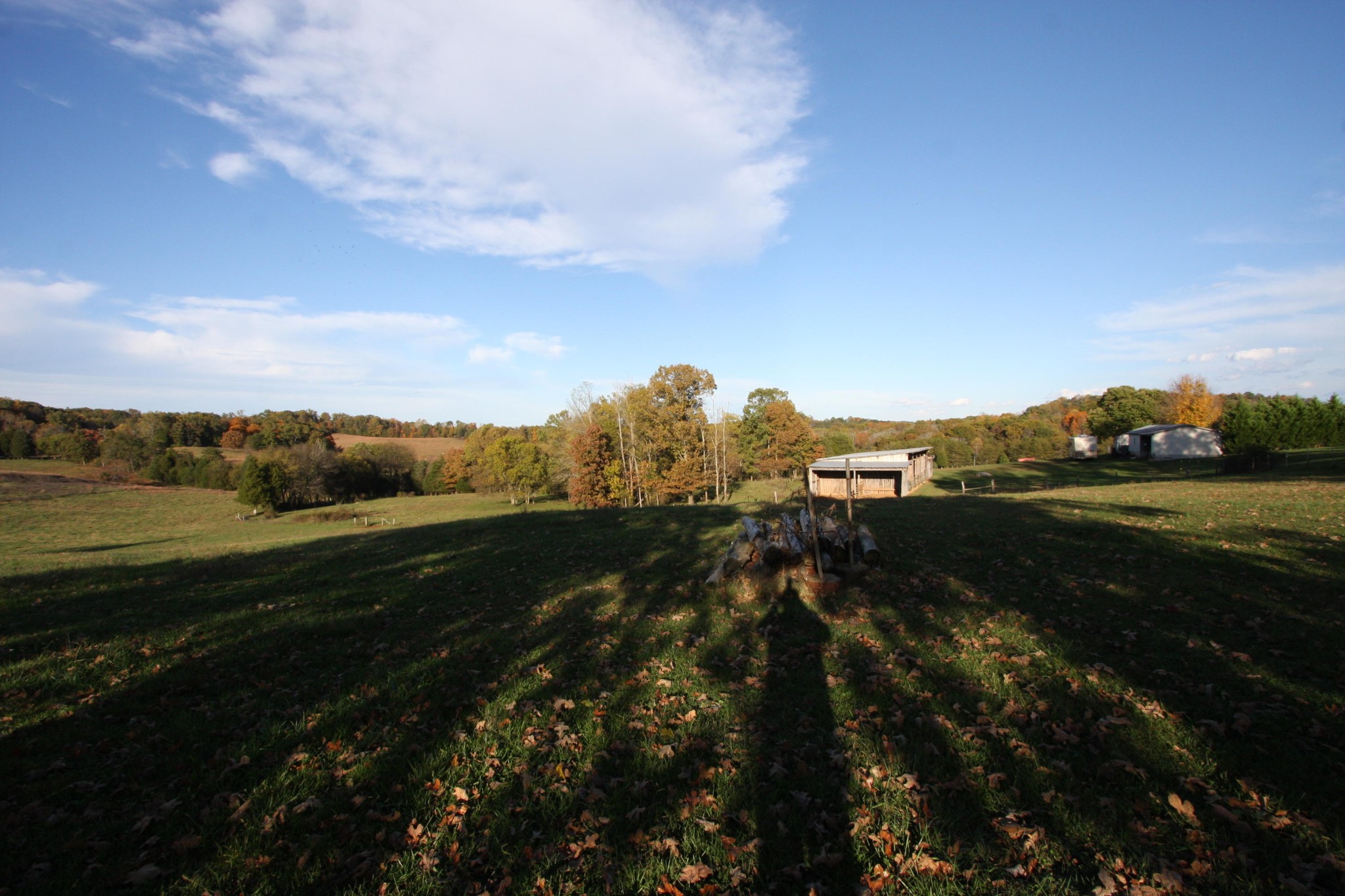 1270 Fork Road Greenback, TN 37742 - Photo 6 of 26 Gallery Image 6