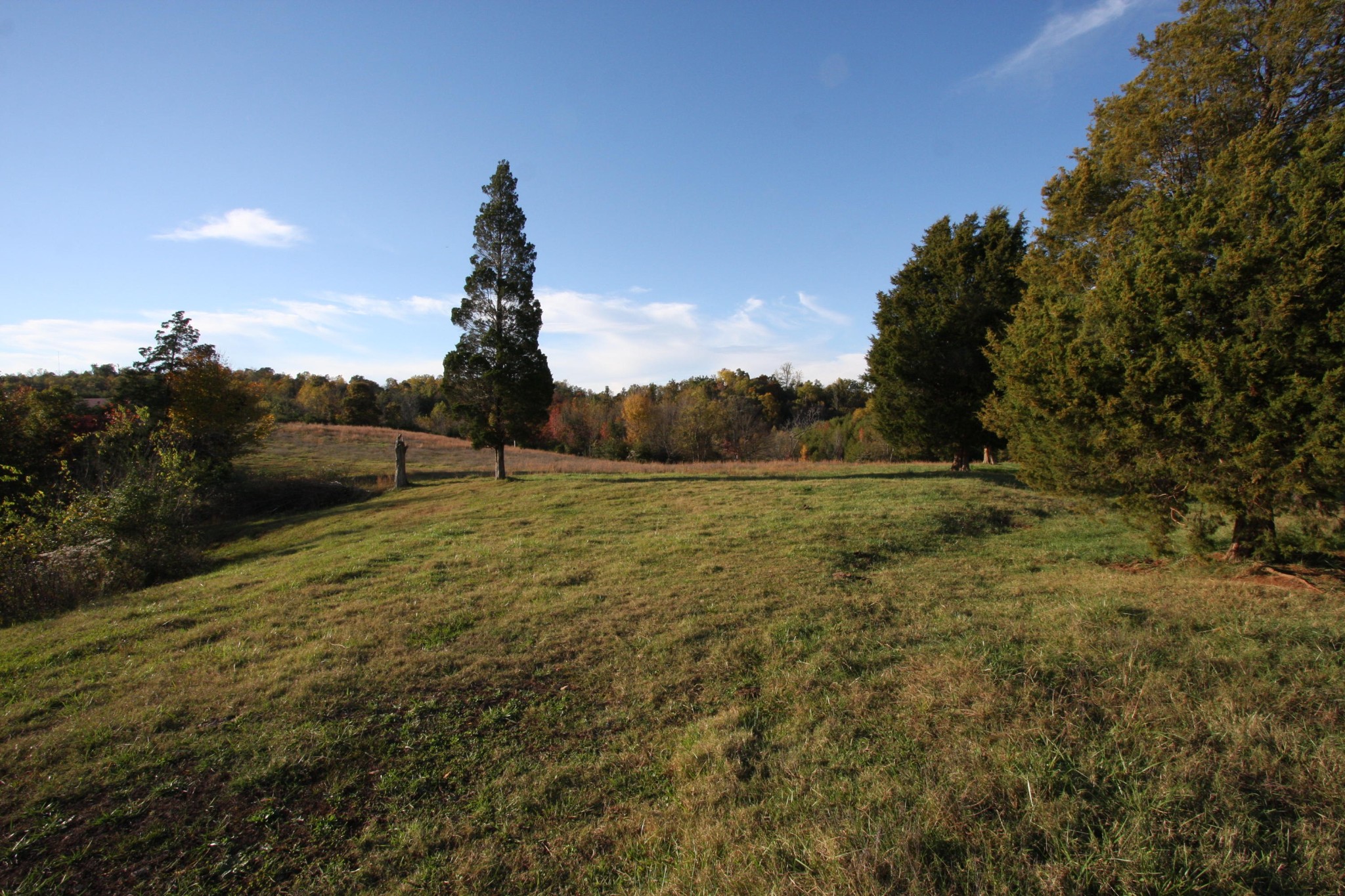 1270 Fork Road Greenback, TN 37742 - Photo 7 of 26 Gallery Image 7