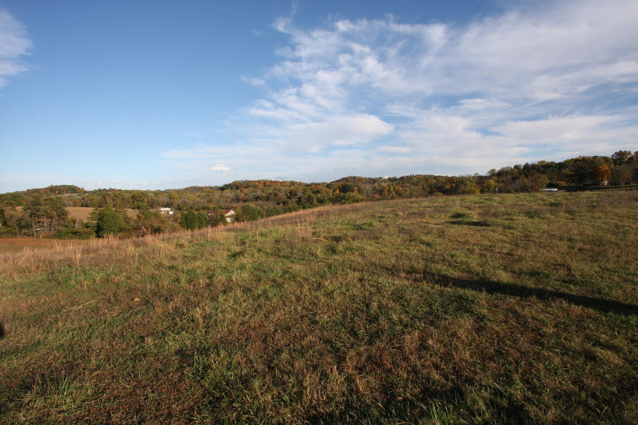 1270 Fork Road Greenback, TN 37742 - Photo 8 of 26 Gallery Image 8