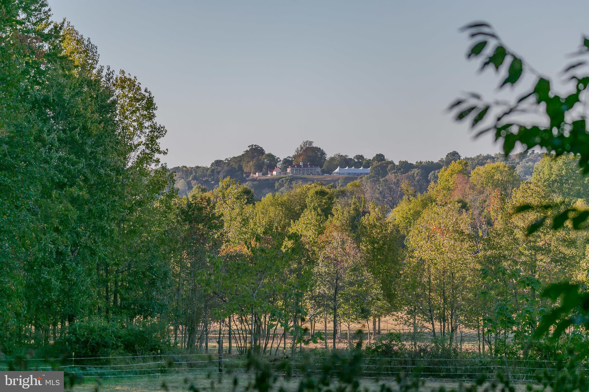 14505 Cactus Hill Road Accokeek, MD 20607 - Photo 11 of 83 Direct Views of Mount Vernon